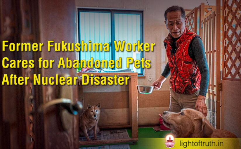 Former Fukushima Worker Cares for Abandoned Pets After Nuclear Disaster